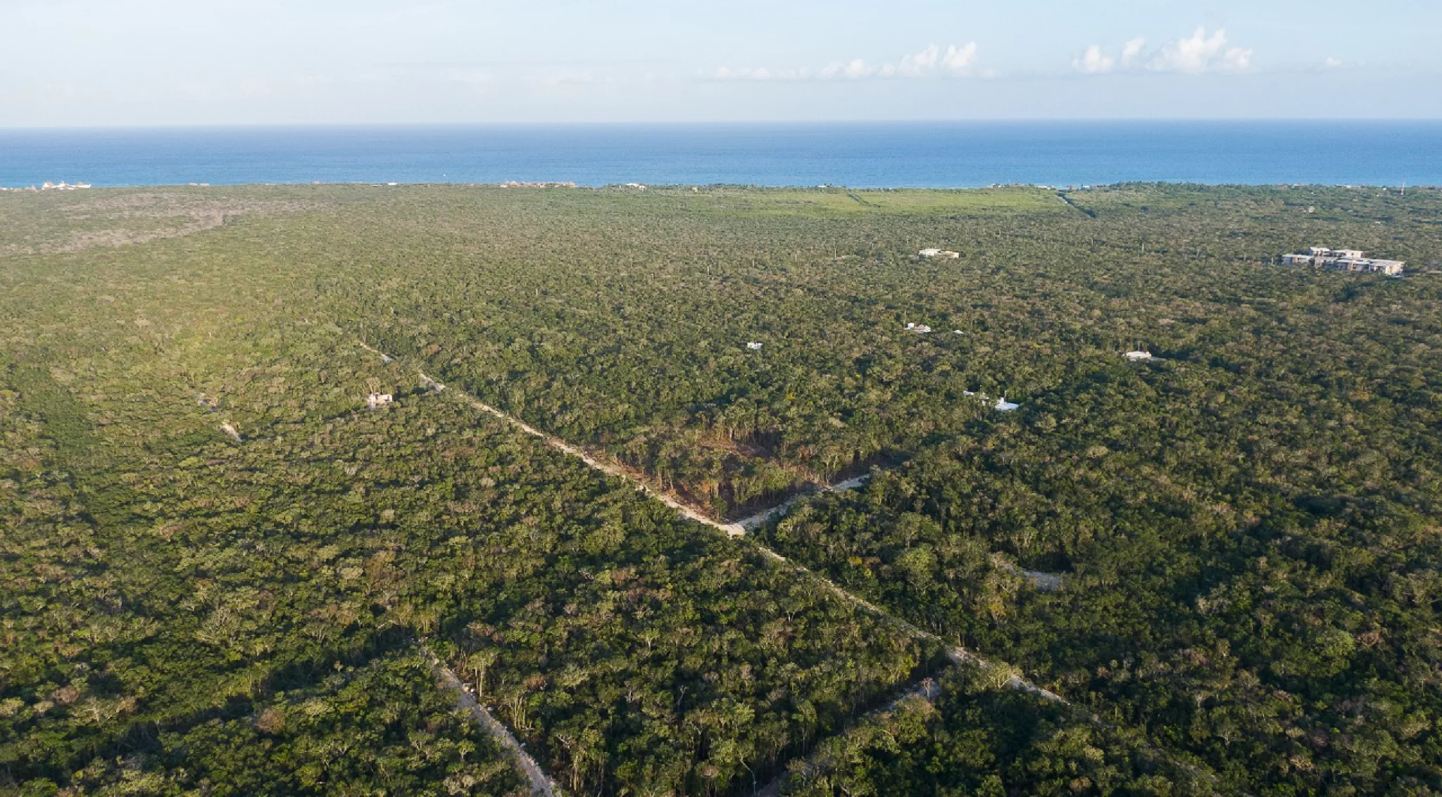 tulum new roads Real Estate Opportunities