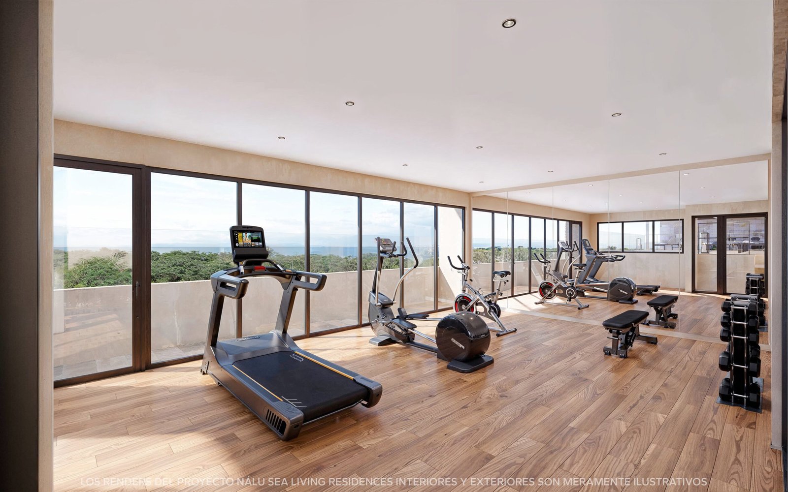 GIMNASIO AMENIDADES