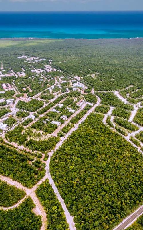 land-for-sale-tulum-mexico land-for-sale-tulum-mexico